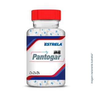 Imagem frontal da embalagem do Pantogar Plus 